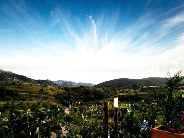 Hotel La Tinensa Puebla de Benifasar 외부 사진
